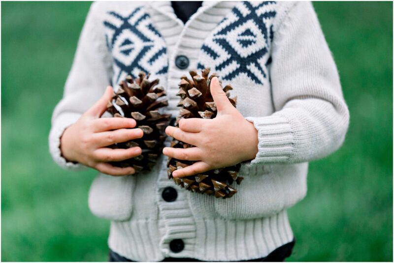 A child in a patterned sweater holds two large pinecones, echoing the joy of Solana Beach pregnancy photos.