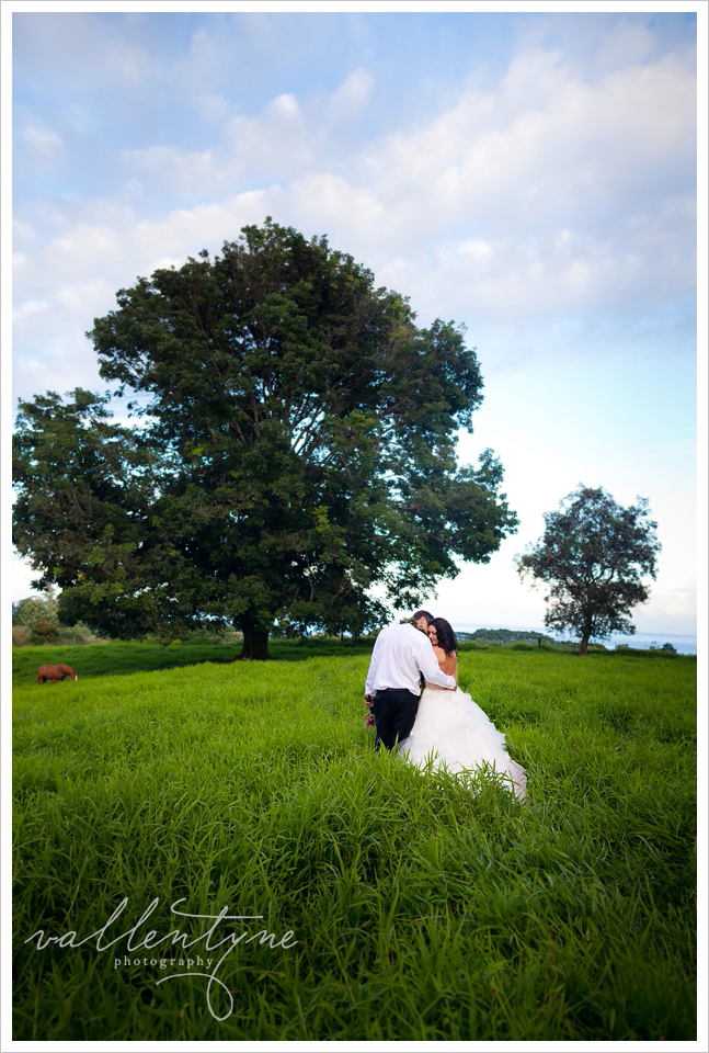 big island wedding photography-0047.jpg