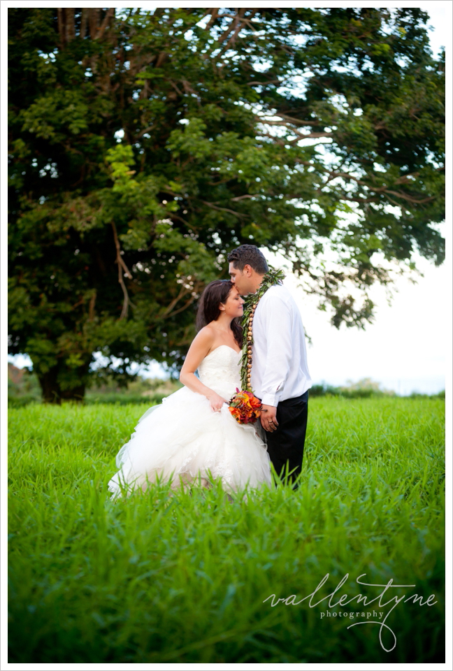 big island wedding photography-0050.jpg