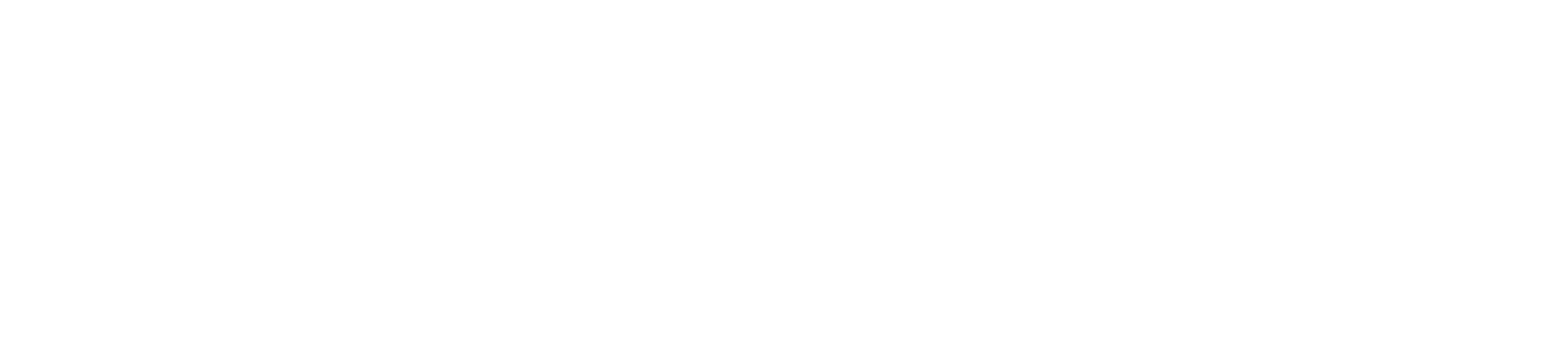 VP text logo-white